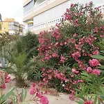 Διαμέρισμα Amazing In Τορεβιέχα