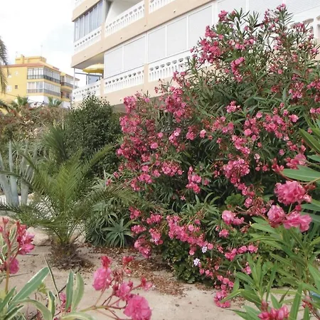 Appartement Geweldig In Torrevieja