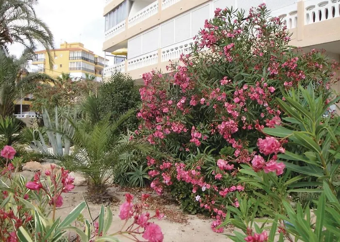 Διαμέρισμα Amazing In Τορεβιέχα