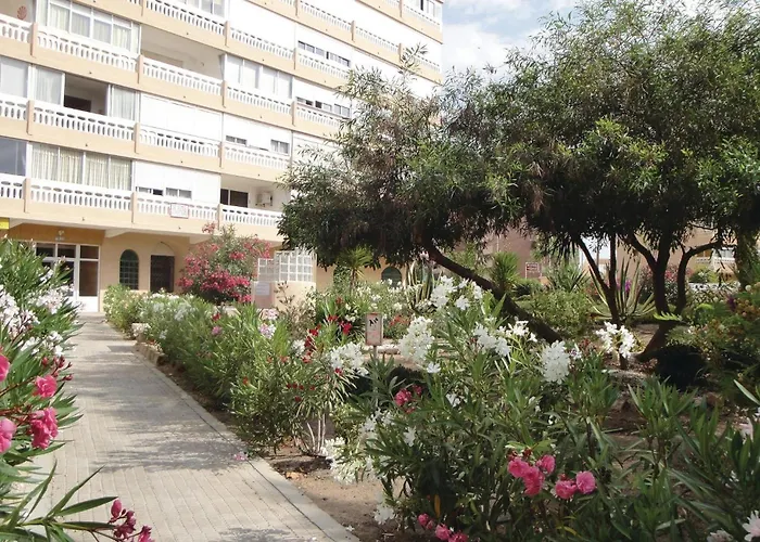 Amazing In Τορεβιέχα