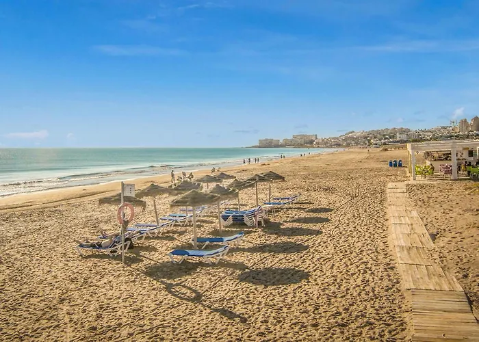 Amazing In تورّيفيِخا